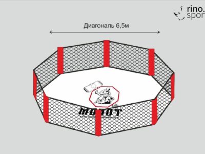 КЛЕТКИ ММА