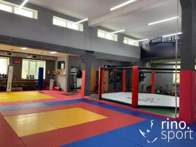 КЛЕТКИ ММА